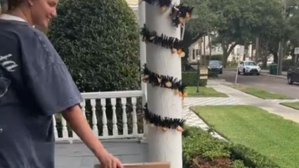 Halloween cleanup: Girls remove rotten pumpkins to escape the foul smell