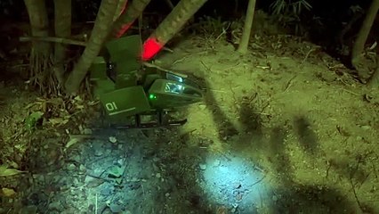 Fans Hobby Air Eagle VE-01 Prototype video