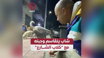 شاب يتقاسم وجبته مع "كلاب الشوارع"