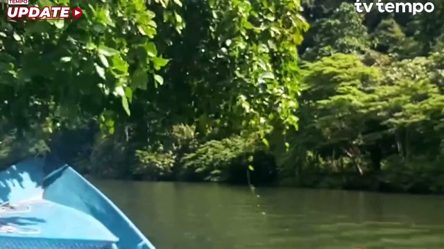 Wisatawan Kali Biru Raja Ampat Melonjak saat Libur Nataru