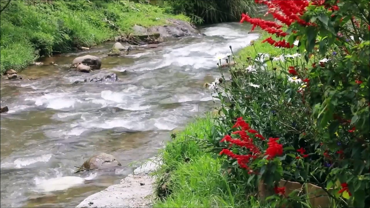 Paseos de olla seguros y sin contratiempos