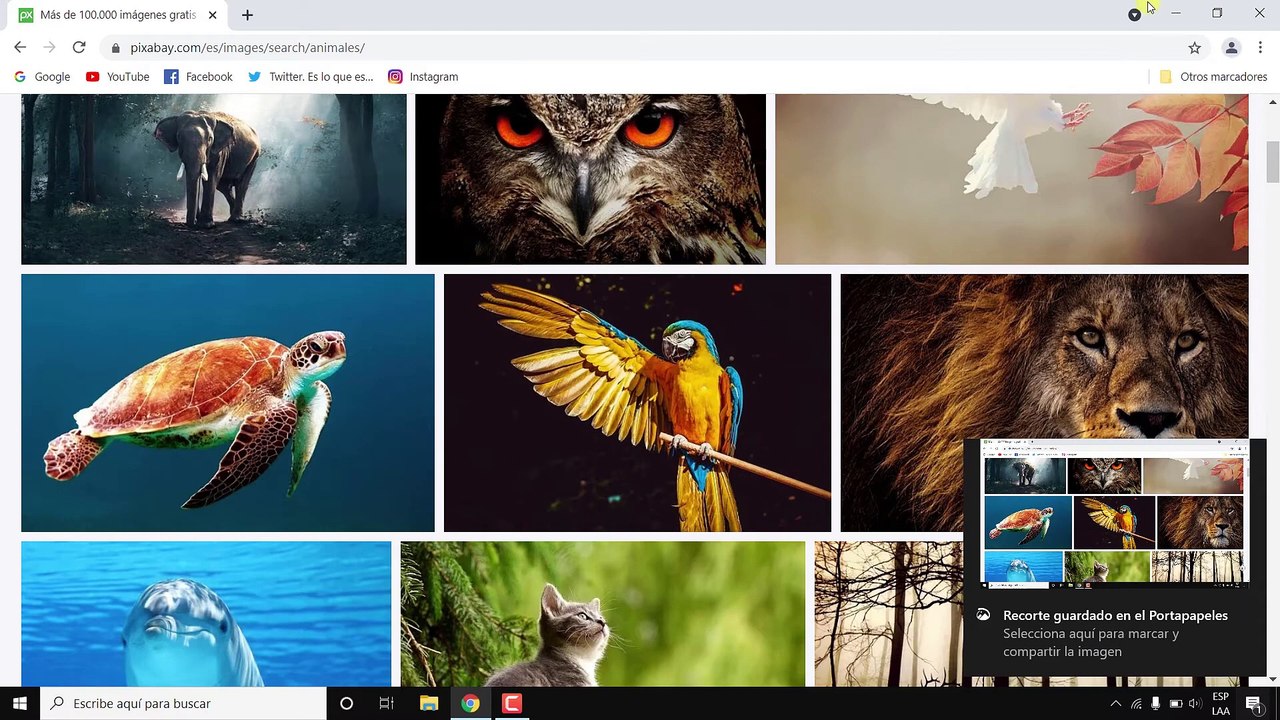 Como hacer Captura de Pantalla en Windows 10 sin impr pant en pc o laptop 2024