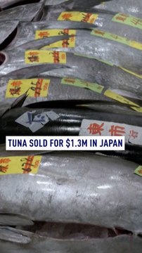Tuna fetches over $1.3 million at Japan New Year's auction