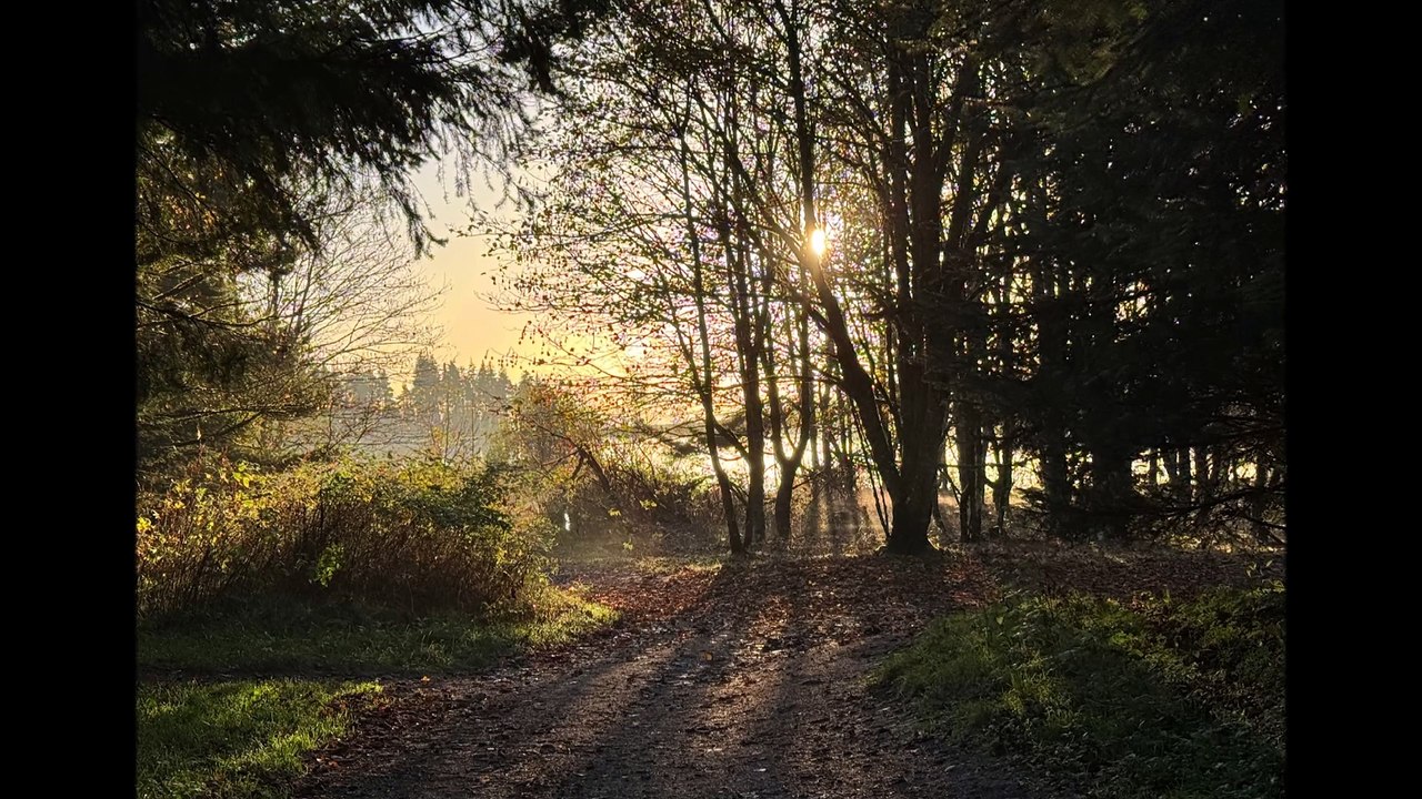 "Qu'entends-tu de moi que je n'entends pas" par Vivien Marsh (cover piano JL Murat)