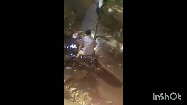 Giant Python Enters Village: A Tense Encounter!