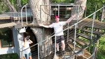 Spending $100,000 on the Tallest Treehouse