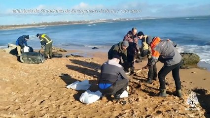 Más de 30 cetáceos muertos tras derrame de petróleo ruso en mar Negro