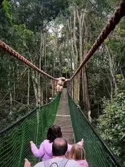 Wild world of animals. How deftly she crosses the bridge.