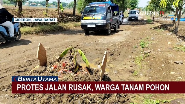 Lebih dari 10 Tahun Tak Diperbaiki, Warga Desa Luwung Cirebon Tanam Pohon di Jalan Rusak
