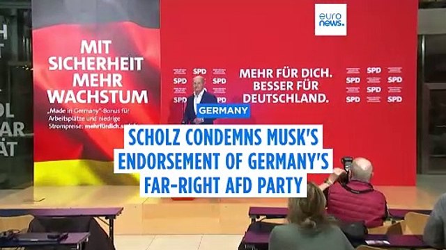 Scholz condemns Musk's support for far-right AfD