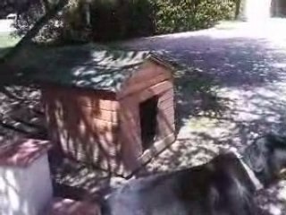 maxou se met au foot