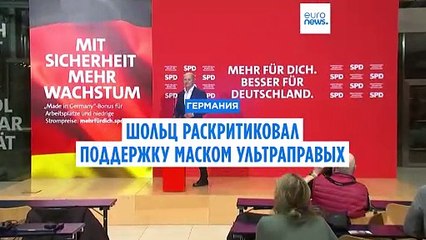 Шольц раскритиковал поддержку Маском ультраправой партии AfD