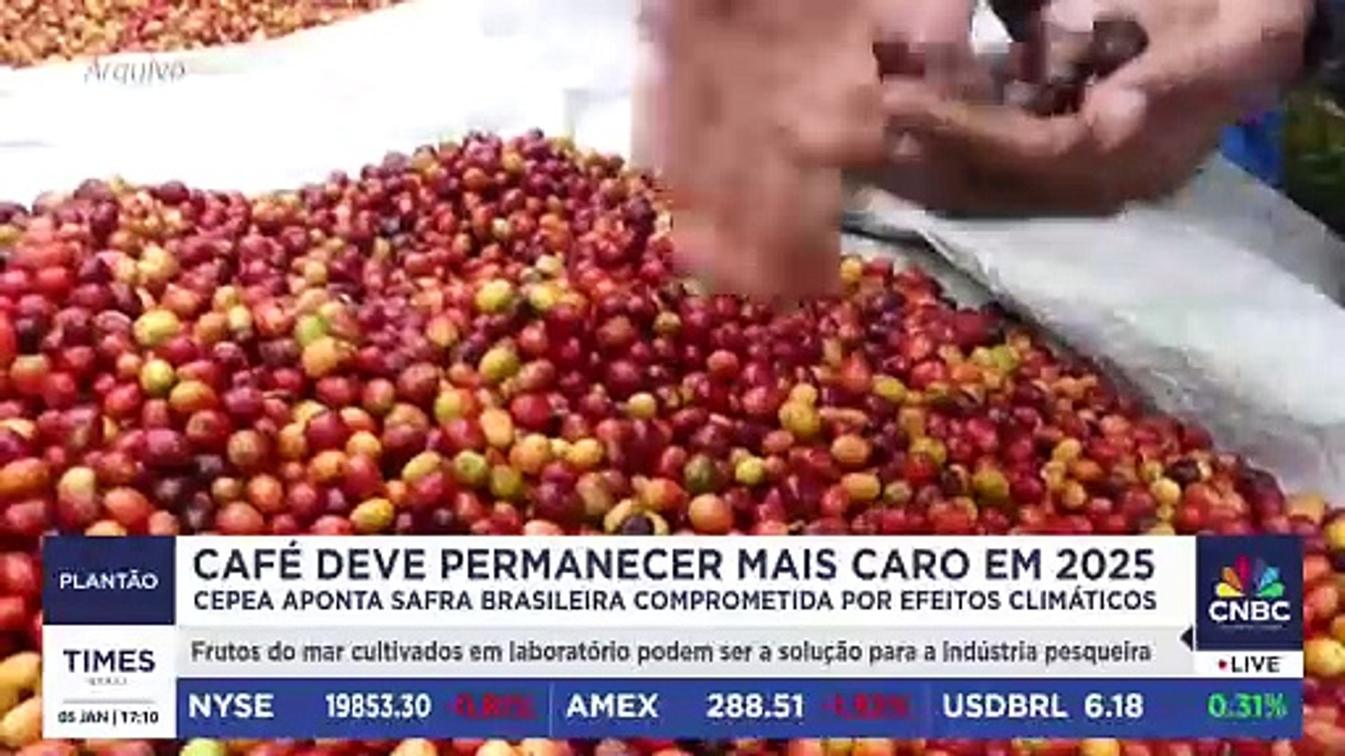 Biden aprova venda de armas a Israel antes da posse de Trump | PLANTÃO TIMES BRASIL