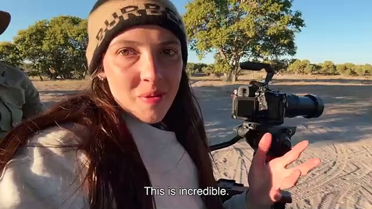 Incroyable safari au Botswana dans le parc national de Chobe