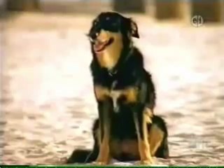 Sesame Street - A Girl and her dog play on the beach (Replace version)