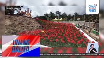 Libo-libong rose installation, patok sa mga turista | Unang Balita