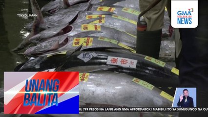 276 kilong bluefin tuna, nabili sa halagang 207M yen o mahigit P76M | Unang Balita