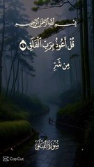 2025-01-01-010751061