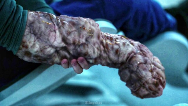 Slingshot (2024) Horror Movie Explained in Hindi/Urdu Summarized In हिन्दी | Real Life Horror Film