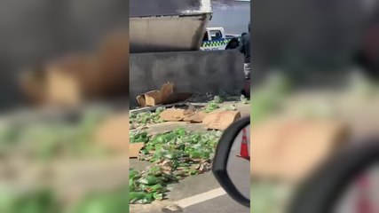 Patana se vuelca en la Autopista Duarte a su paso por Pontón, La Vega