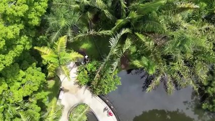 tn7-ZooAve invita a adentrarse en la naturaleza con nuevas atracciones esta temporada -050125