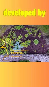 Tertill Weeding Robot Overview Video / #trending #trend #fpv #fyp #gadgets #trendingshorts #tech