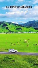 Nalati Scenic Area China