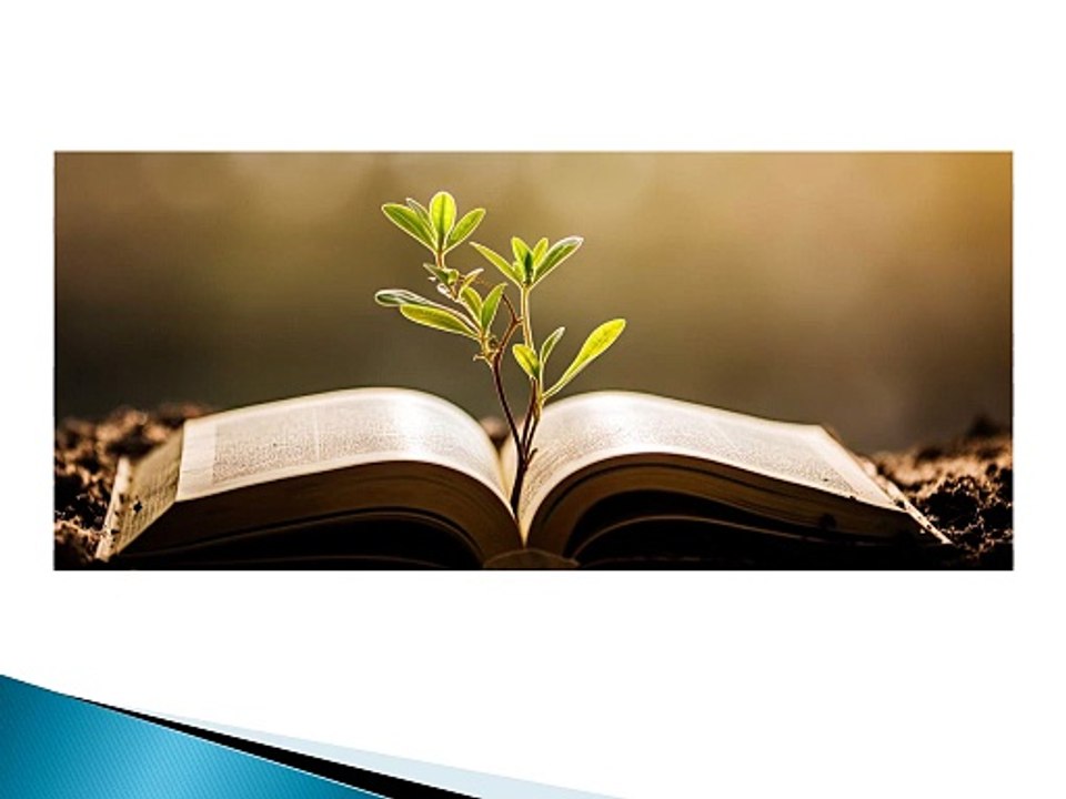 Pastor Thom O'Leary's Insights on Life, Faith, and the Meaning from the Bible