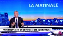 Le billet d'humeur de Romain Desarbres : «Aidez-nous ! : le cri de détresse des agriculteurs»