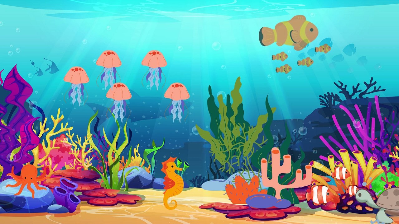 Bubble Whale Kids animation Song