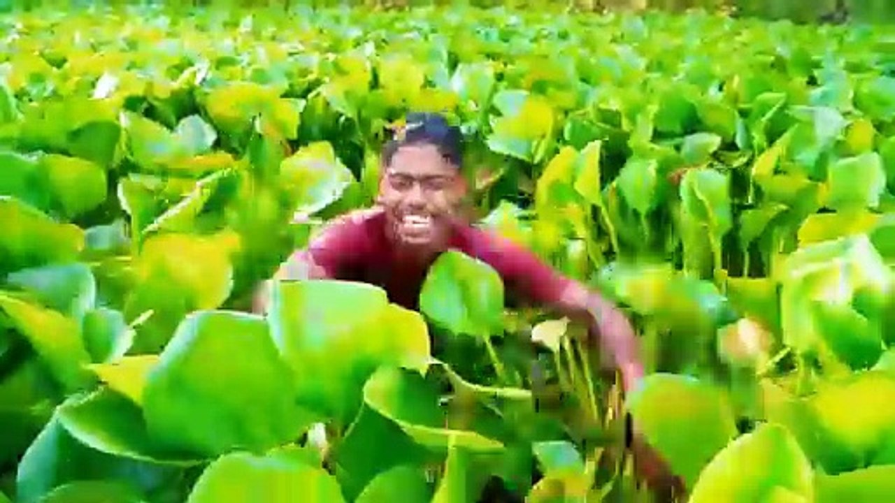 Laugh Your Heart Out Funniest Skits, Pranks & Hilarious Videos