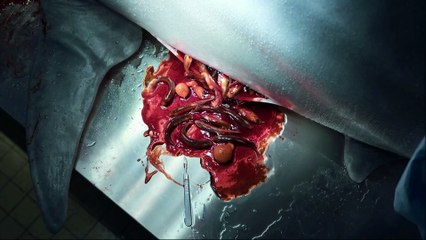 En las profundidades del Sena | Avance