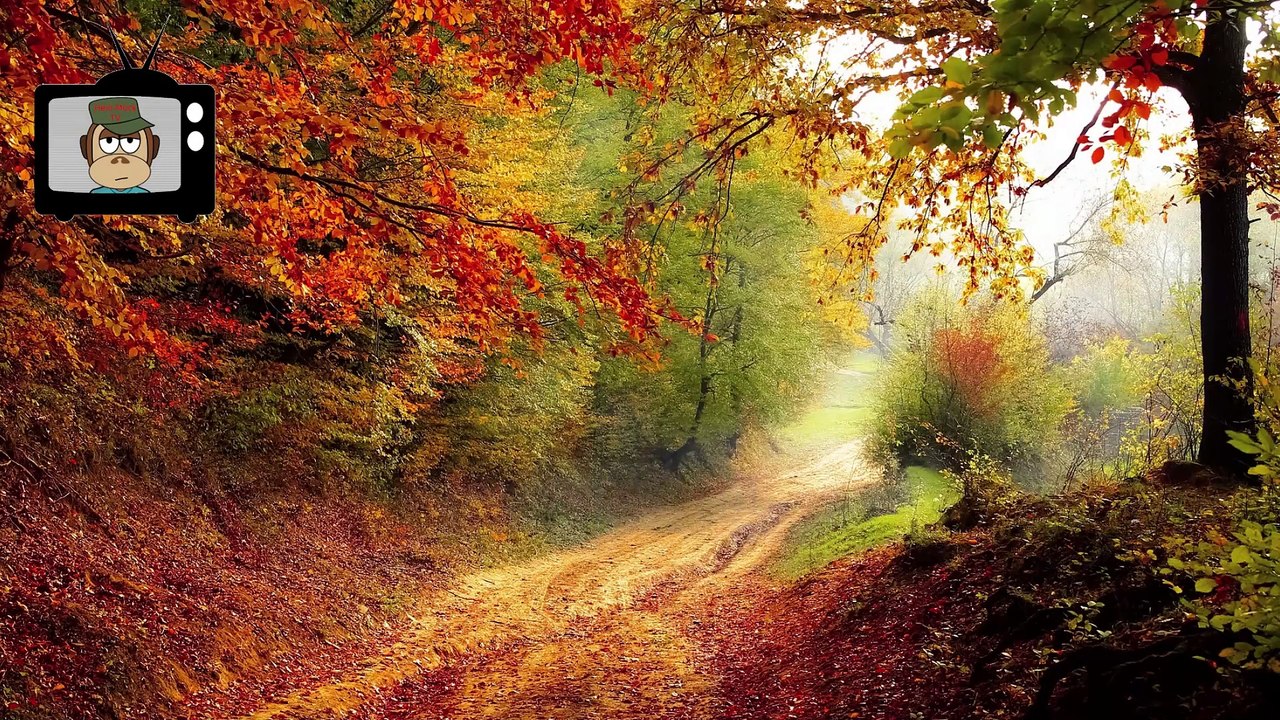 Langeoog mit Kindern