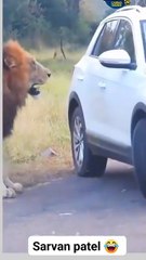 Sarvan Patel - Husband Wife Kalesh in Market ..._._._._._._._.__relatble _family _instagram _reelsinstagram _reelitfeelit _instag(SD)