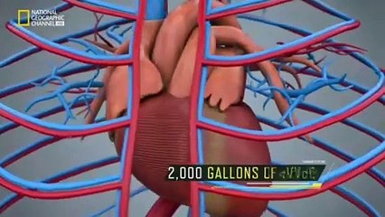 do or die hindi snake bite