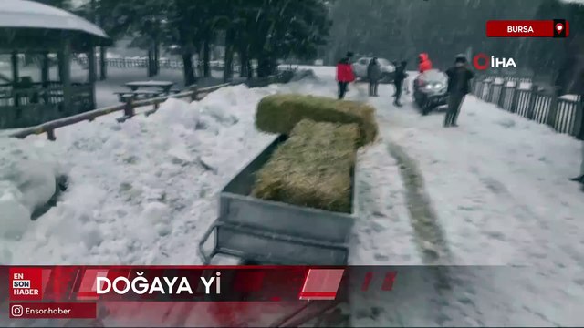 Bursa'da yaban hayvanları için doğaya yem bırakıldı