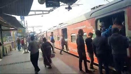 (HOLD)চন্দননগর স্টেশন থেকে কচ্ছপ উদ্ধার,গ্রেফতার মহিলা।