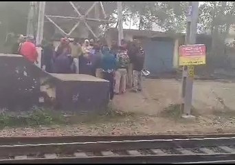 (HOLD)চন্দননগর স্টেশন থেকে কচ্ছপ উদ্ধার,গ্রেফতার মহিলা।