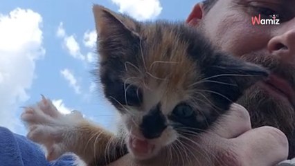 Driver spots tiny creature on side of the road, then makes heartwarming decision