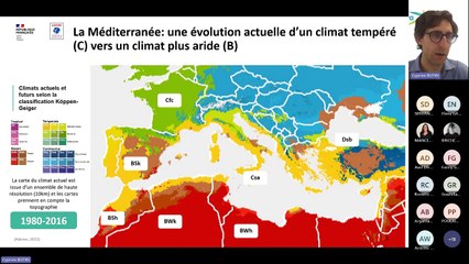 Un été avec Plus fraîche ma ville - La remontée du climat méditerranéen en France