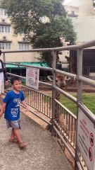 Bé cho hươu cao cổ ăn cà rốt