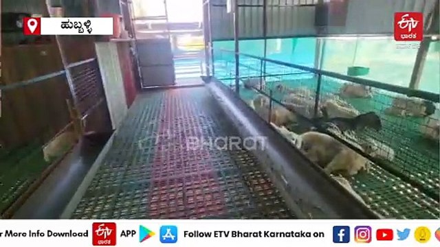 ರಾಷ್ಟ್ರೀಯ ಜಾನುವಾರು ಮಿಷನ್ (NLM) ಯೋಜನೆ ಜಾರಿ ವಿಳಂಬ : ಫಲಾನುಭವಿಗಳು ಅತಂತ್ರ ; ಏನಿದು ಸ್ಕೀಂ, ರೈತರಿಗೆ ಇಲ್ಲಿದೆ ಉಪಯುಕ್ತ ಮಾಹಿತಿ