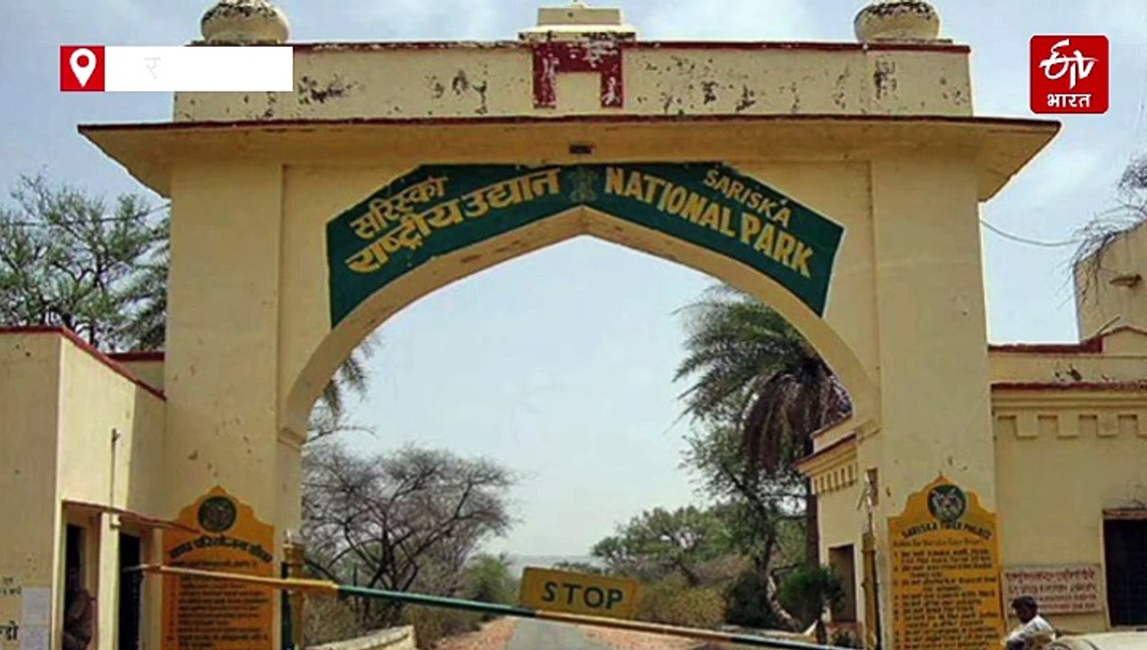 बाघों के बाद अब बर्ड फेयर से बढ़ेगी सरिस्का की ख्याति, प्रशासन तैयार कर रहा योजना