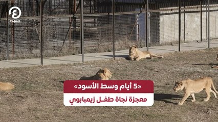 5 «أيام وسط الأسود» معجزة نجاة طفــل زيمبابوي