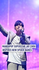 Mandopop superstar Jay Chou inspires new spider names