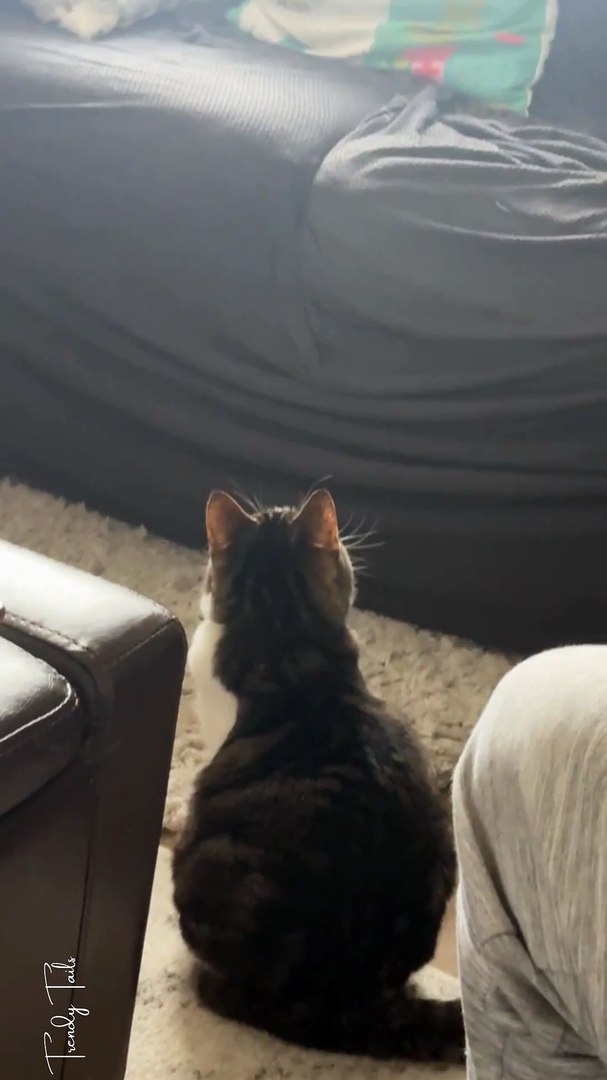 ⁣Bird watching 👀