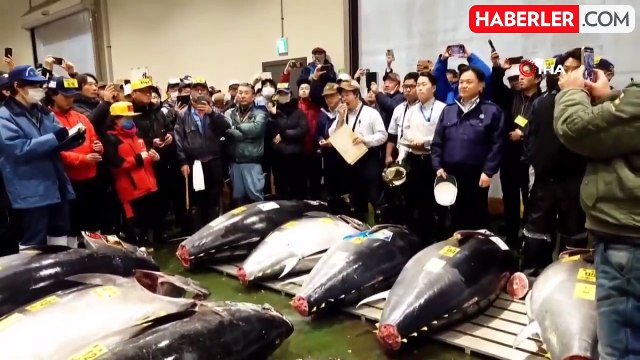 Japonya'da Yeni Yıl Mezadı: 276 Kilogramlık Mavi Yüzgeçli Orkinos 1,3 Milyon Dolara Satıldı