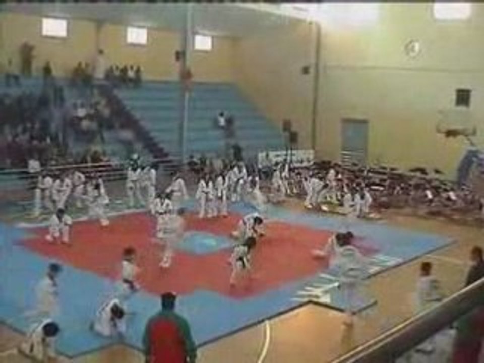 demo taekwondo Club andalous Tihad 25-04-2008