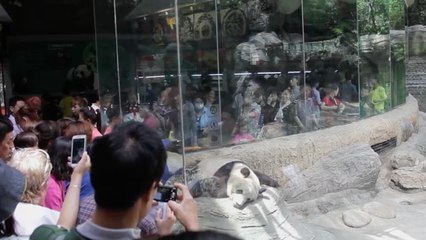 Un petit garçon retrouvé vivant après cinq jours dans un parc animalier