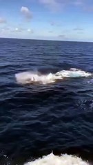 when your confident lags...